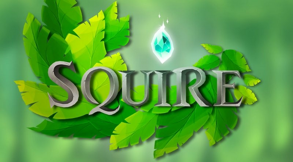 ECV Game Bordeaux - Squire